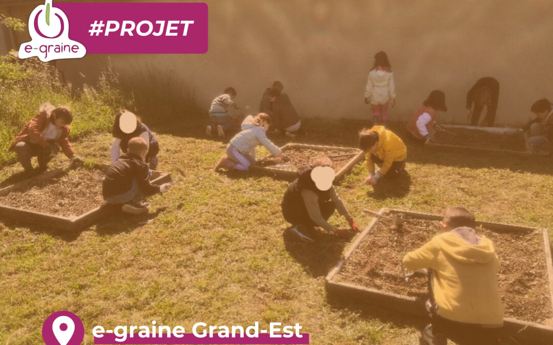 Jardin au naturel : créer un espace pédagogique pour les petit·e·s et les grand·e·s