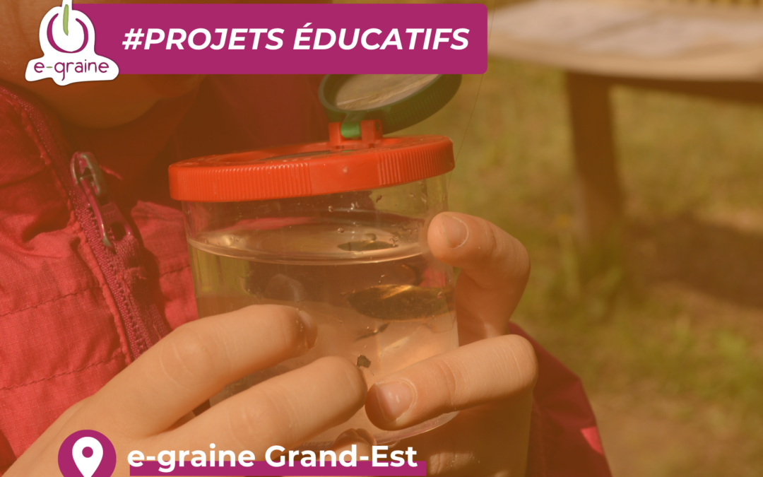 Pour vos projets éducatifs 26-27, cap sur Crogny avec e-graine Grand-Est ! 🚀
